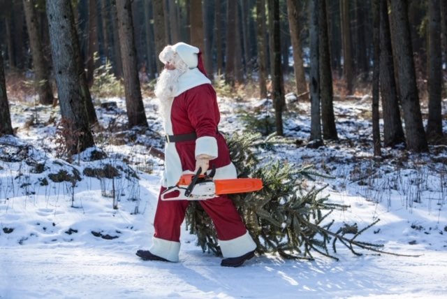STIHL_Weihnachtsmann